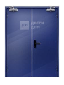 Глухая ДПМ-02 EI-60 противопожарная дверь двупольная без порога